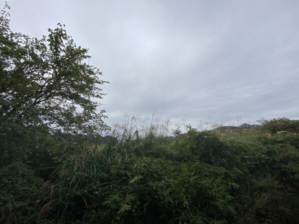 メゾン・ドールやかたB棟の物件内観写真